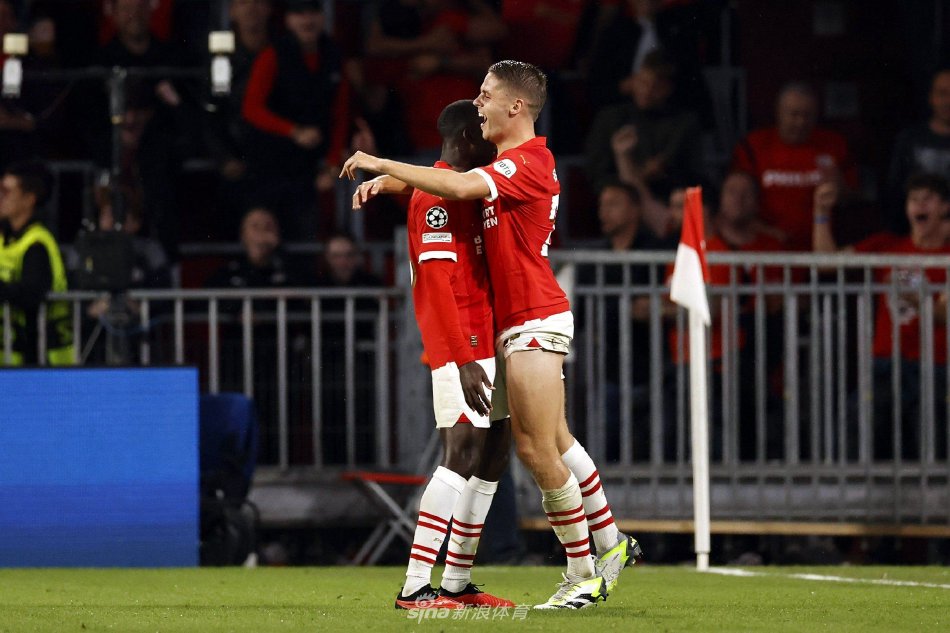 力的真实反 力的真实反