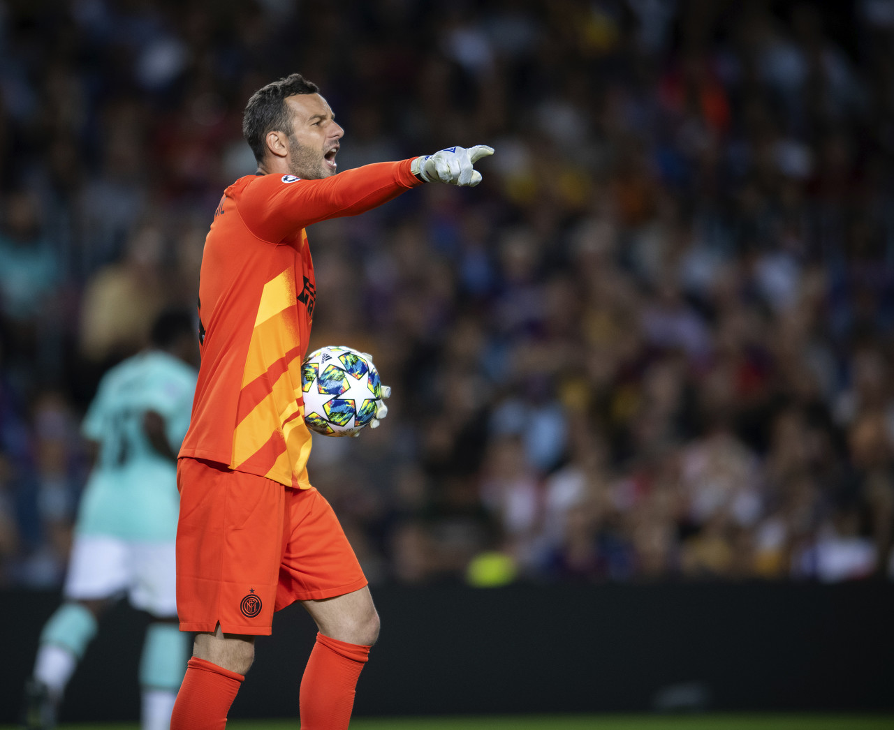 样重视这两 样重视这两